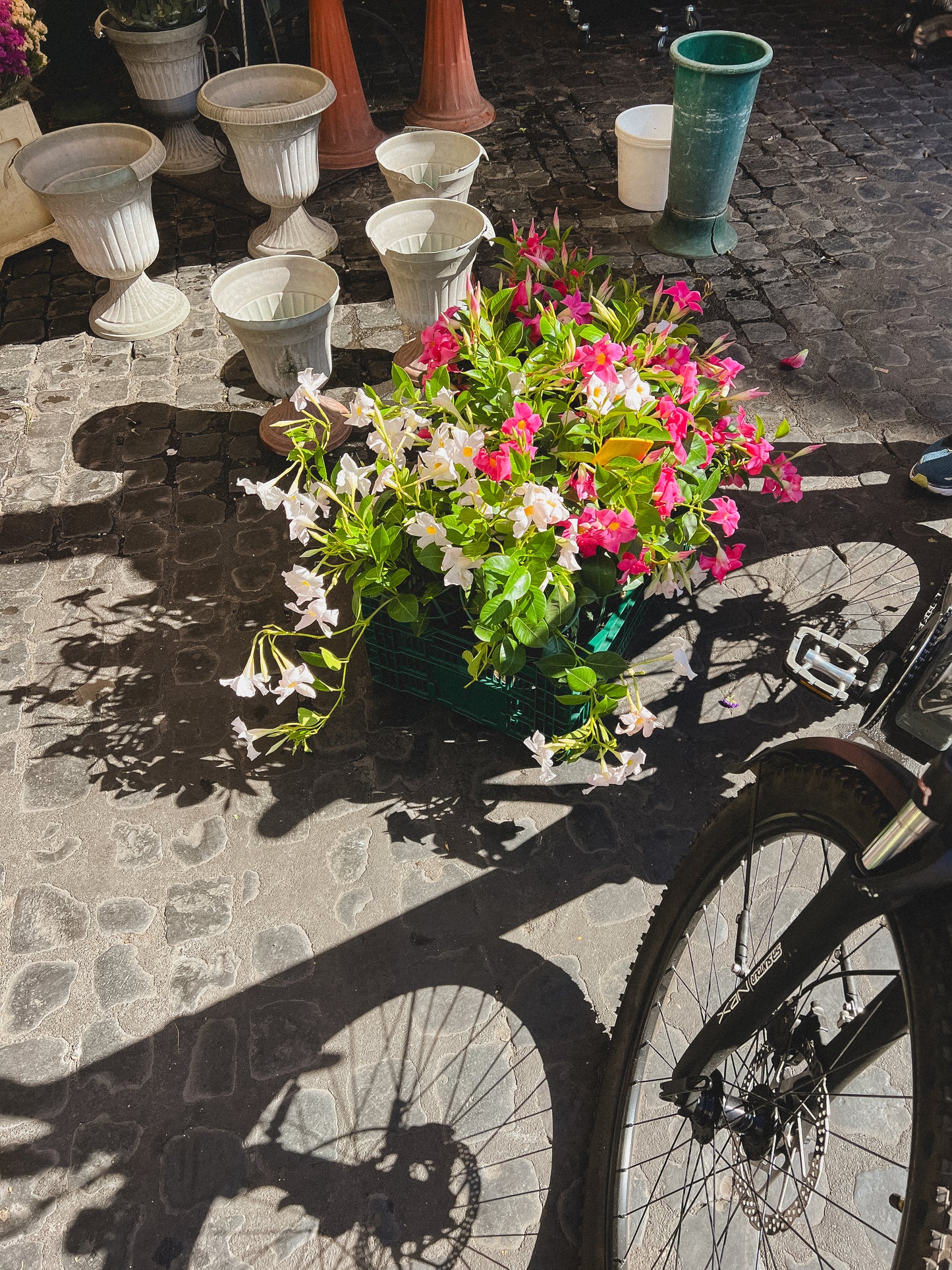 Slorence - Vignette Cup object 'Flower on the market floor, Roma'