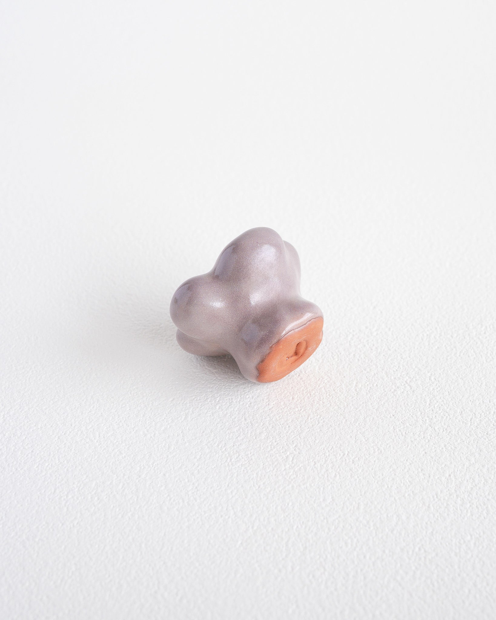 AKO DOMAE - Nature object #11 – FUYOO