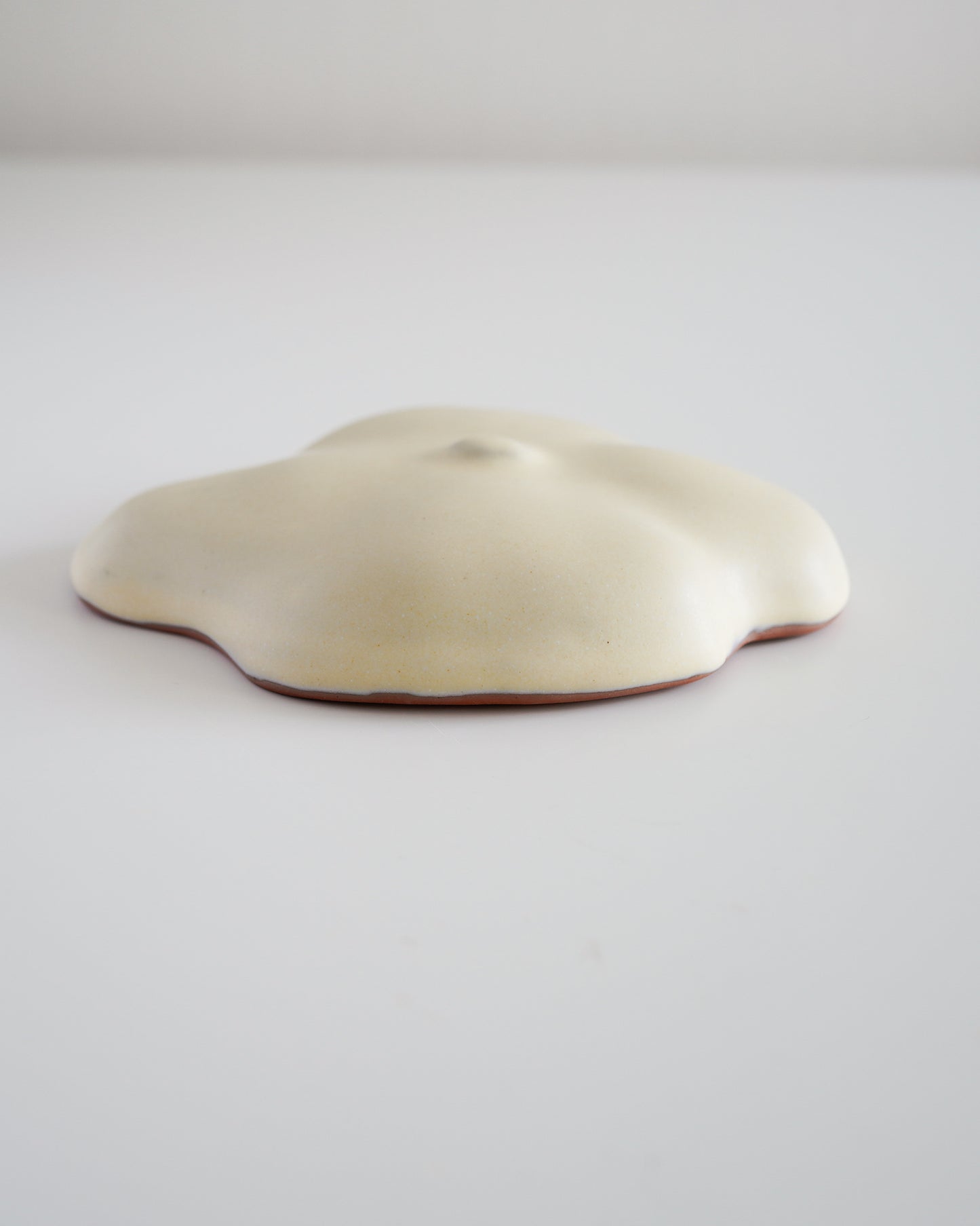 AKO DOMAE - Nature Wall object #２