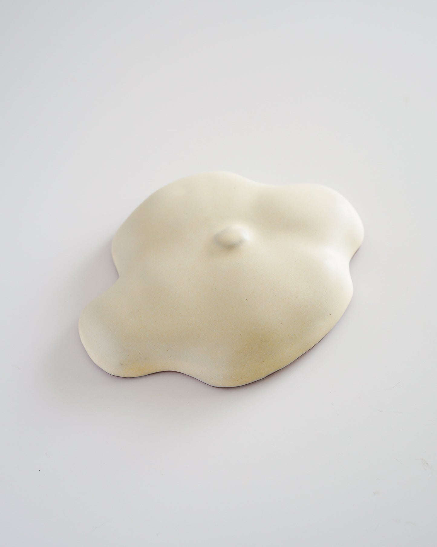 AKO DOMAE - Nature Wall object #２